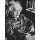 Brown Leather Albert Einstein Jacket